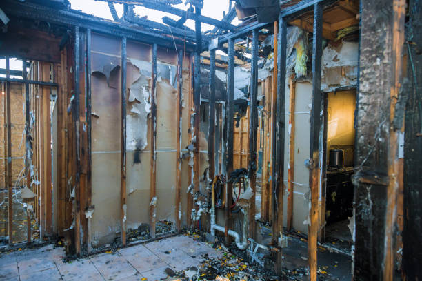Professional Fire Damage Assessment technician working in Edinburg, TX
